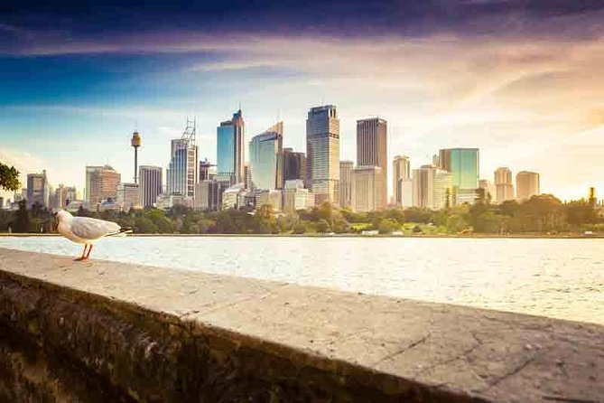 Private Sydney City and Bondi Beach Half Day Tour - The guide factor: how Simon-like pacing changes the day