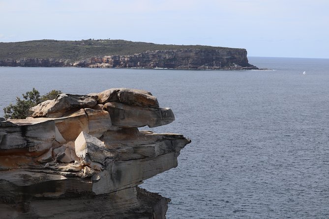 Private Sydney City and Bondi Beach Half Day Tour - Stop-by-stop: what to expect and how to get the most from each moment