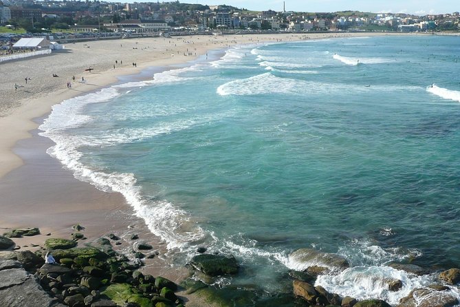 Private Sydney City Tour: The Key Attractions - Why a private car tour beats bus lines for first-time Sydney
