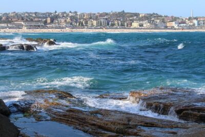 Private Sydney Discovery Tour - Price and value: what $322.76 buys you