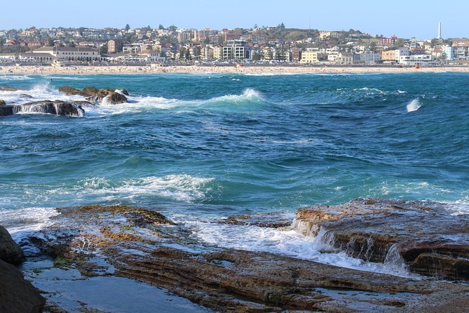 Private Sydney Discovery Tour - Price and value: what $322.76 buys you