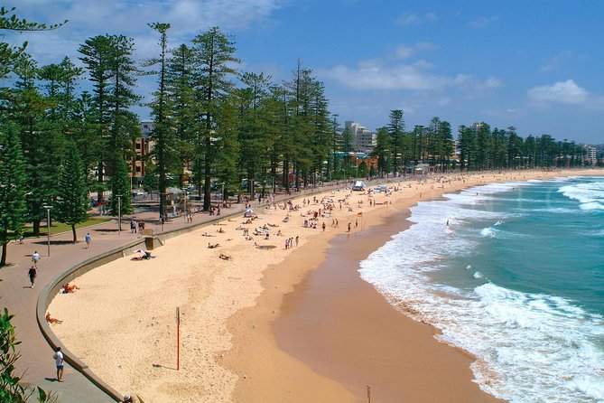 Private Sydney Tour Including Sydney Opera House, Bondi and Manly - Watsons Bay to Bondi Beach: views plus a walkable feel