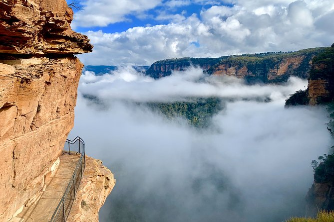 Private Tour: Blue Mountains Hiking & Nature - Why this Blue Mountains day feels different than DIY