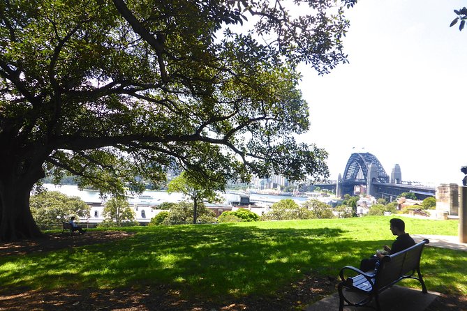 Private Tour: Half-Day Iconic Sydney - Price and Value: $251.04 Per Person Isn’t Cheap, But Here’s Why It Can Be Fair