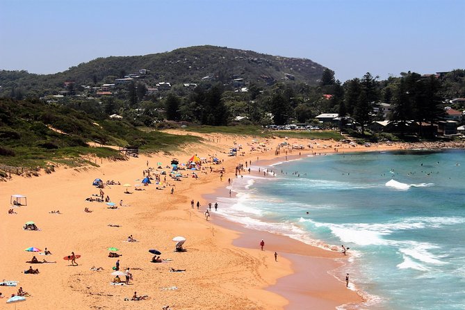Private tour of Ku-Ring-Gai National Park and Northern Beaches - What Kind of Traveler This Fits Best
