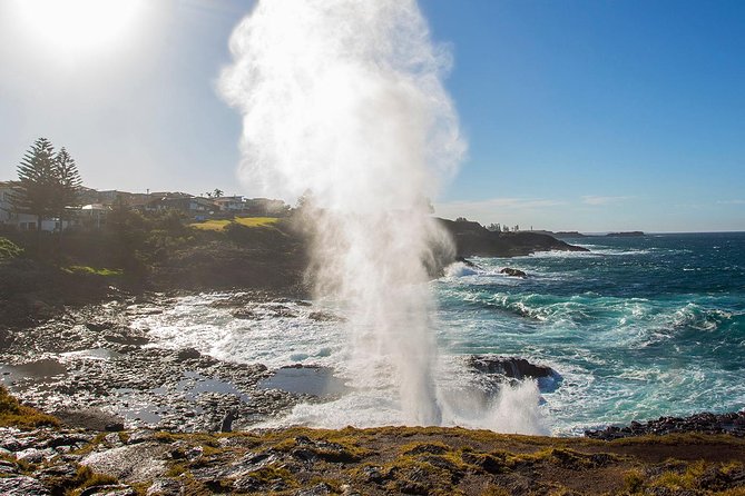 Private Tour: Sydney South Coast & Highlands - The guide makes the day: photos, answers, and pace control