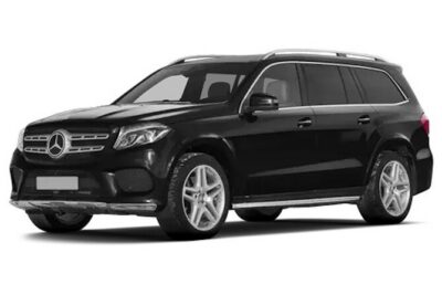 Private Transfer FROM Sydney Airport to Sydney CBD for 1 to 2 pax - Getting picked up after customs without playing curb roulette