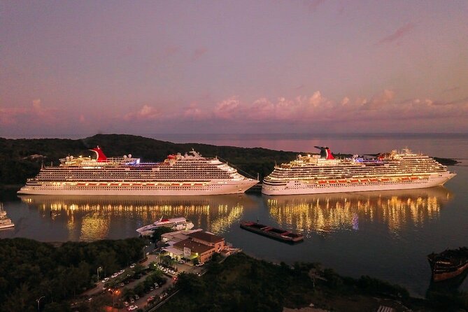 Private Transfer from Sydney Cruise Port to Sydney Airport (SYD) - Who this transfer is best for in Sydney