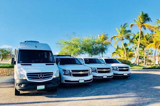 Private Transfer from Sydney Cruise Port to Sydney Airport (SYD) - Pickup from the cruise port: meeting with a name sign and flight tracking