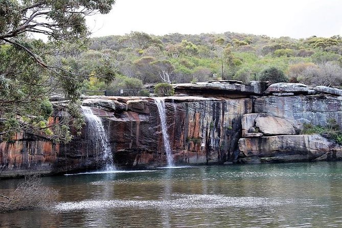 Royal National Park Private Tour - Royal National Park in one long day: what the route really covers