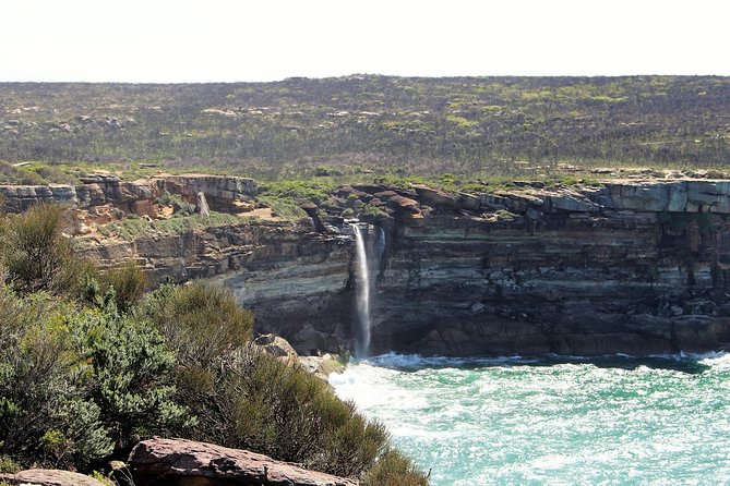 Royal National Park Private Tour - Bald Hill Lookout and Sea Cliff Bridge: short pauses with big viewpoints