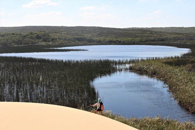 Royal National Park Private Tour - Lunch, snacks, and the Canon photos you’ll be glad you paid for