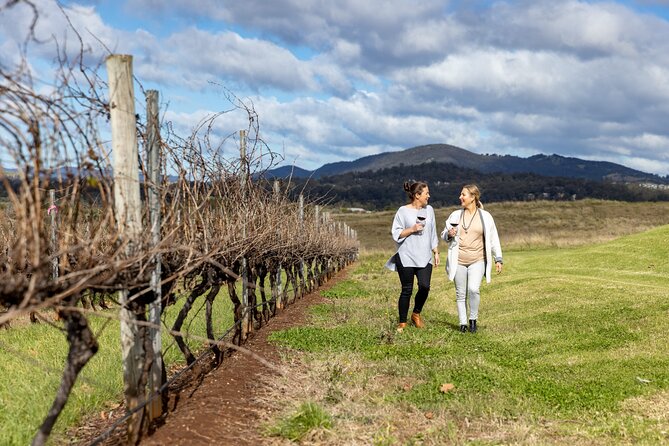 Scenic Hunter Valley Tour with Wine and Cheese Tastings - The road to Hunter Valley: views, timing, and why the drive matters