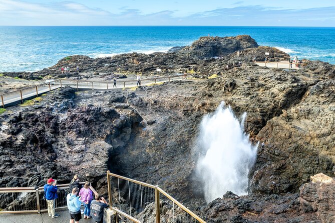 Sea Cliff Bridge, Kiama Blowhole, Beaches & Wildlife Small Group - Lunch, snacks, and the guide’s photo-smart timing