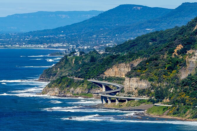 Sea Cliff Bridge, Kiama Blowhole, Beaches & Wildlife Small Group - Sea Cliff Bridge and the Grand Pacific Drive photo moment