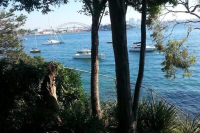 Secret Sydney: Hidden Beaches and Gardens - Snacks, picnic-style breaks, and why the timing works