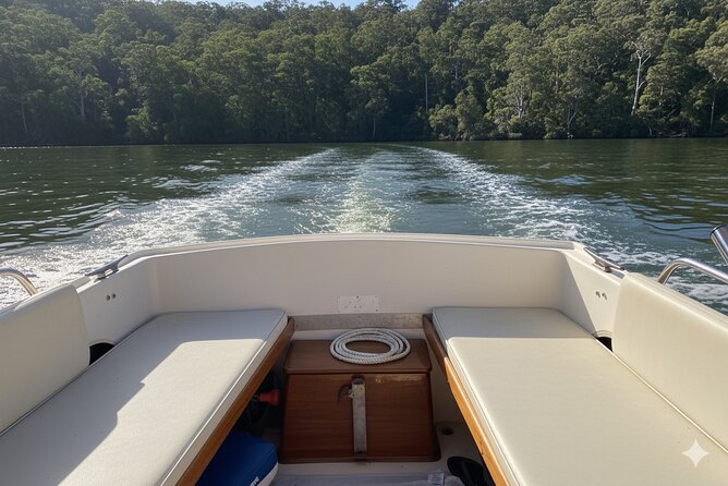 Self Drive Boat Hire Sydney Harbour (No license required) - Training and controls: first-time boat captain confidence