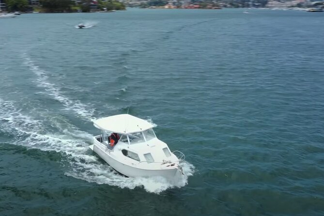 Self Drive Boat Hire Sydney Harbour (No license required) - Pet-friendly sailing with room for everyone