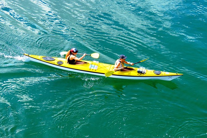 Self-Guided Sydney Middle Harbour Kayak 3 Hour Tour by Double Kayak - Key Things You’ll Really Like About This Kayak Experience
