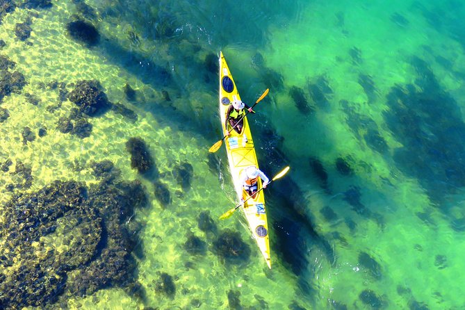 Self-Guided Sydney Middle Harbour Kayak 3 Hour Tour by Double Kayak - The Double Deluxe Kayak Setup: Stable Boats That Help You Relax