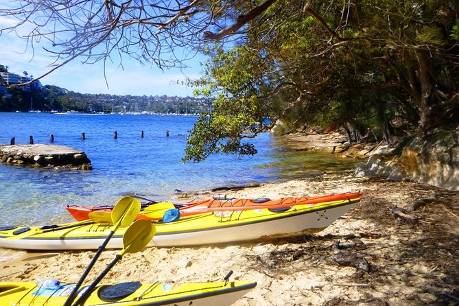Self-Guided Sydney Middle Harbour Kayak 3 Hour Tour by Single Kayak - Price and value: is $60.97 for 3 hours a fair deal?