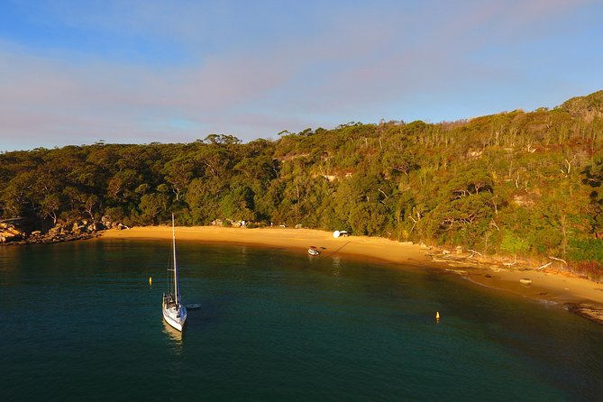 Single Kayak Hire - 4 Hours - North Harbour by solo kayak: why this works so well