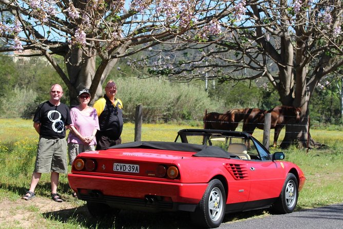 Six-Bridges-of-Sydney-Vintage-Car-Ride-Experience - Lane Cove Tunnel roar, then a bridge run to Anzac