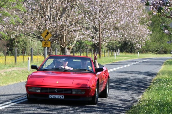 Six-Bridges-of-Sydney-Vintage-Car-Ride-Experience - Why the one-hour timing is a feature, not a compromise