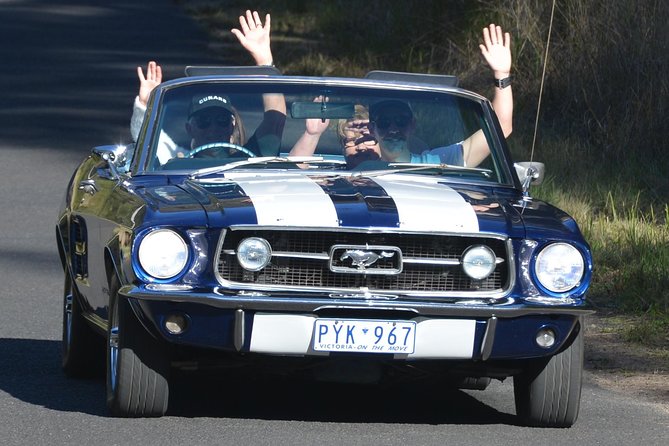 Six-Bridges-of-Sydney-Vintage-Car-Ride-Experience - Price and value: what $279.72 is really paying for