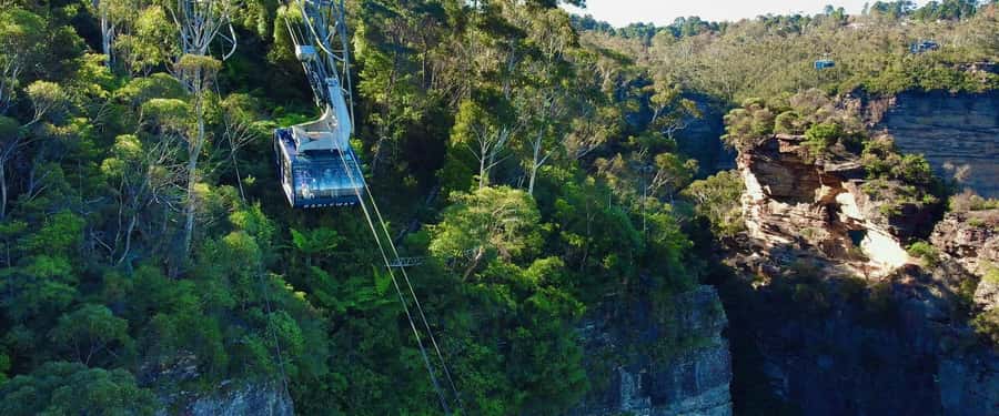 Small Group Blue Mountains, Wildlife & Scenic World Day Tour - Who this Blue Mountains day tour suits best (and who should skip it)