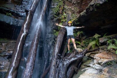 Small-Group Full-Day Rock Climbing Adventure from Katoomba - Price and What You’re Really Buying at $179.31