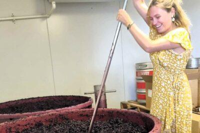 Small Group Hunter Valley Wine Tour + Lunch, Gin & Choc ex Sydney - The winery lineup: guided tastings plus a behind-the-scenes production angle