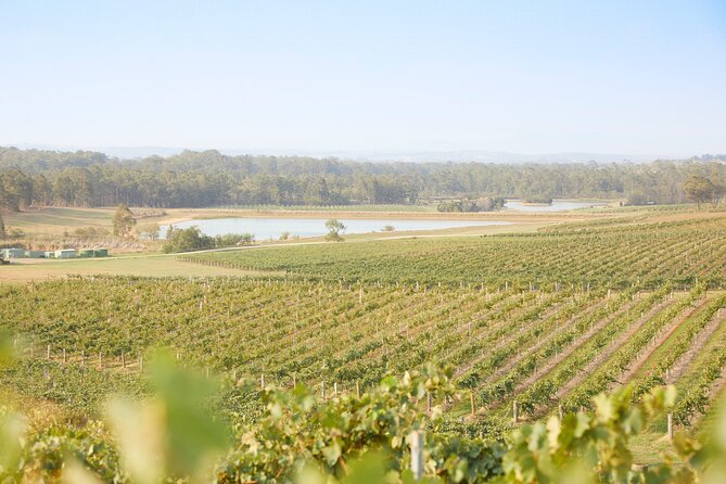 Small Group Hunter Valley Wine Tour w Lunch, Gin, Cheese & Choc - Stop-by-stop: how the day usually unfolds