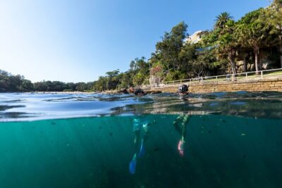 Small Group Manly Snorkel Tour and Nature Walk with Local Guide - The 2.5-Hour Rhythm: Swim Test, Gear Up, Then Head to the Water