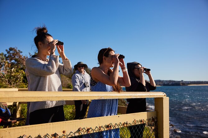 Small Group Manly Snorkel Tour and Nature Walk with Local Guide - What You’ll See Underwater: Blue Groper, Cuttlefish, and More