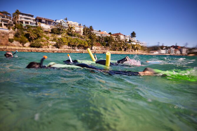 Small Group Manly Snorkel Tour and Nature Walk with Local Guide - Wetsuits and Gear: Staying Comfortable in Cool Manly Water