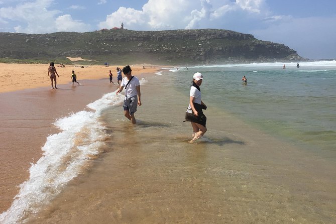 Small-Group Sydney's Northern Beaches & Ku-ring-gai Park Tour - West Head Lookout: The View That Sets Expectations