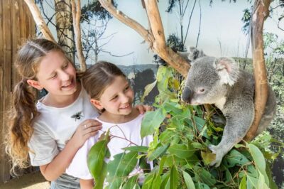 Small Group: Zoo, Blue Mountains, Scenic World Mandarin Tour - Sydney Zoo: Koala Photo Time and a Real Wildlife Start