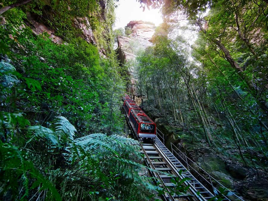 Small Group: Zoo, Blue Mountains, Scenic World Mandarin Tour - Who Should Book This Tour, and Who Might Want Alternatives