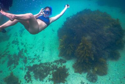 Snorkeling To Discover Sydney's Underwater Wonders - Clovelly Beach underwater: kelp forests, reefs, and real fish encounters