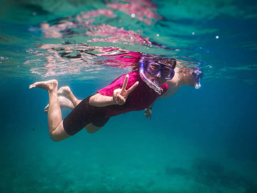 Snorkeling Tour: Discover Sydney’s impressive sea life - Safety first: what the briefing actually covers on the water