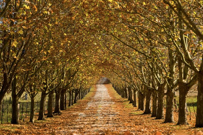 Southern Highlands Private Tour with Wine, Waterfall and Garden - Bowral: Rolling Hills, Old-World Town Time, and an Easy Start