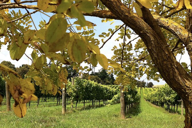 Southern Highlands Private Tour with Wine, Waterfall and Garden - Red Cow Farm Garden: A Private-Property Garden Visit You Can Actually Slow Down In