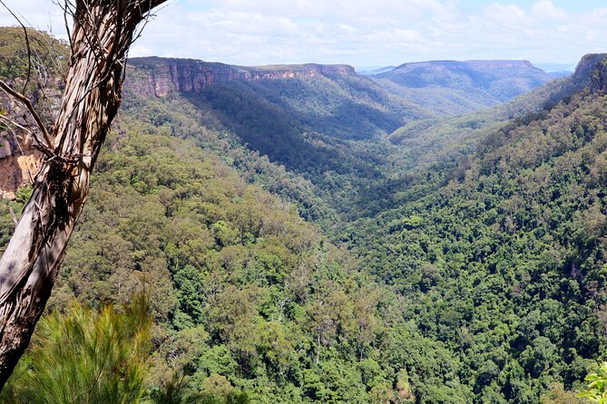 Southern Highlands Private Tour with Wine, Waterfall and Garden - Berrima: Georgian Streets, Sandstone Facades, and Shop-Wandering Time
