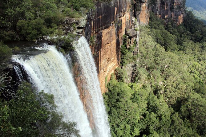 Southern Highlands Private Tour with Wine, Waterfall and Garden - Fitzroy Falls: The Short Track That Still Delivers a Top-View Moment