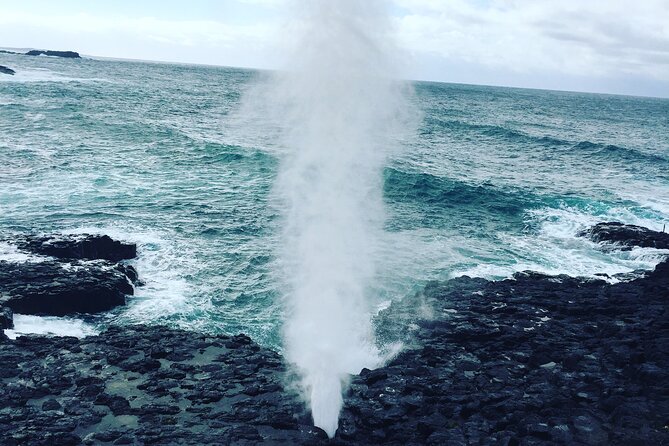 Southern Highlands & South Coast Private Tour From Sydney - Kiama town and lunch: a built-in break, but plan for meals