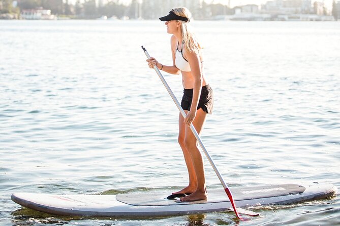 Stand Up Paddle Board Hire - 2 Hours - Where to meet: Manly Kayak Centre on East Side Pier