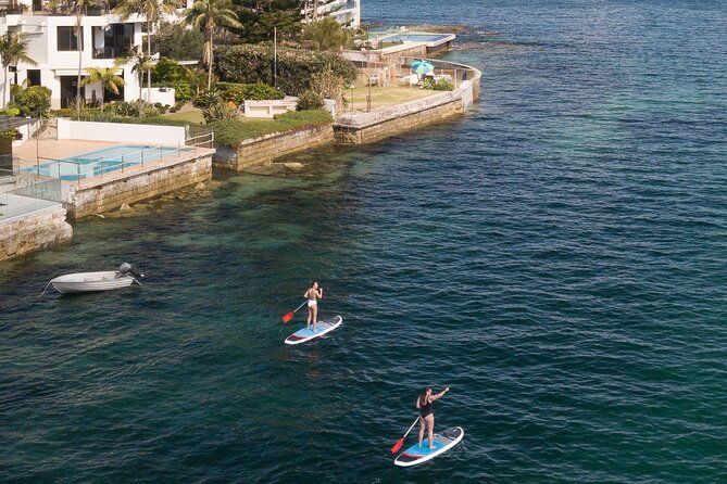 Stand Up Paddle Board Hire - 2 Hours - Choosing your paddle mood: yachts, bays, and quieter shoreline time