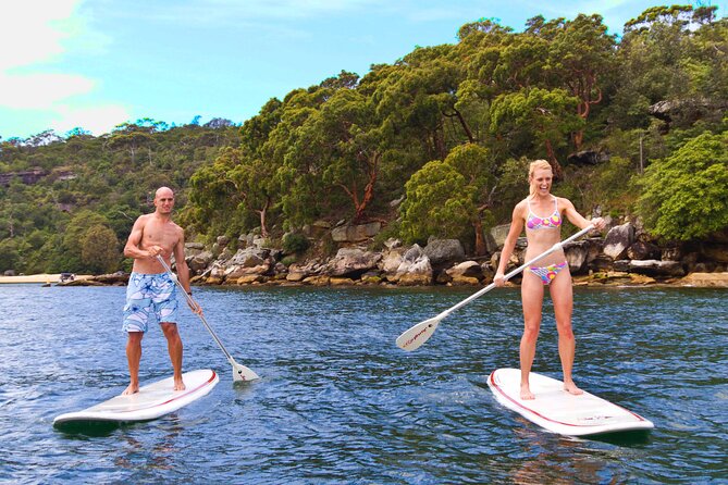 Stand Up Paddle Board Hire - 2 Hours - Getting oriented in Manly: the harbour feels manageable