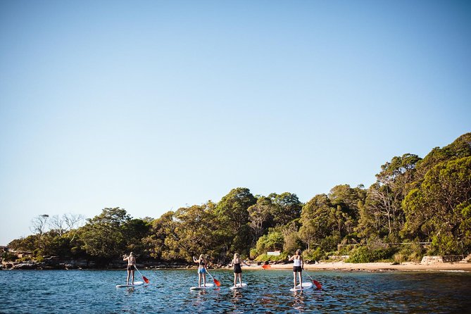 Stand Up Paddle Board Hire - 2 Hours - Service that builds confidence: Craig, Dan, Ella, and the team vibe